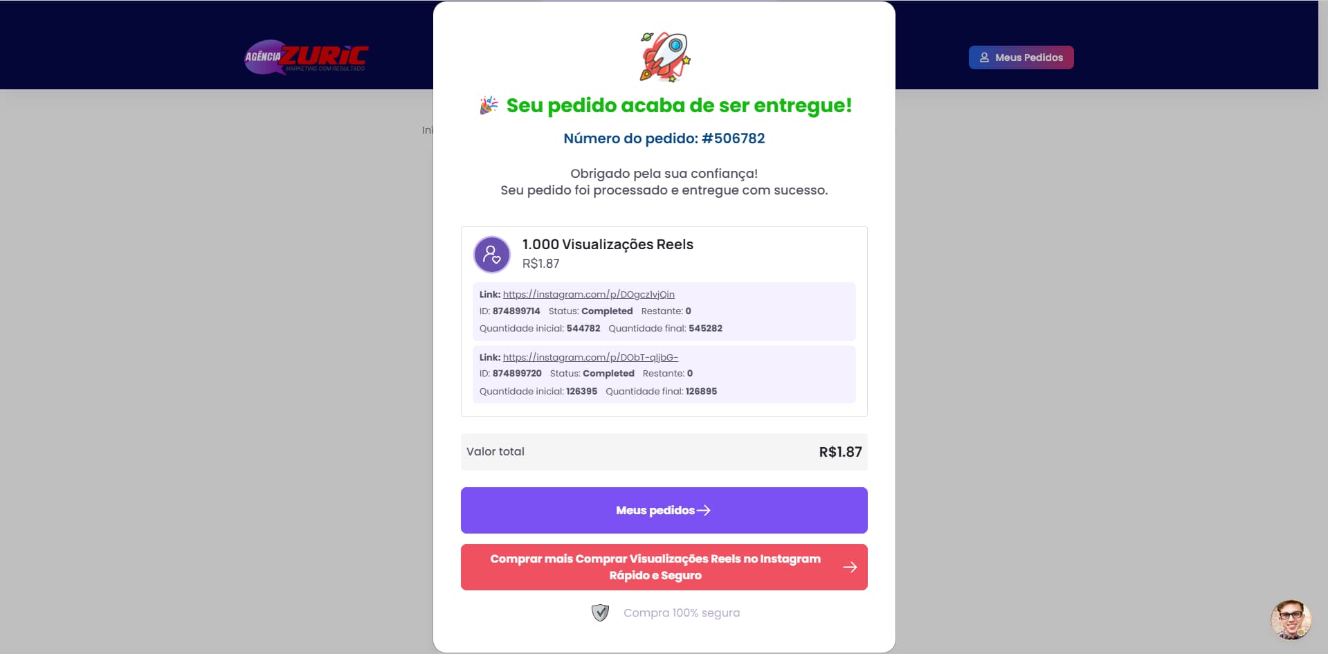 Popup mostrando que a o pacote de visualizações foi entregue com sucesso